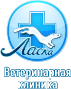 Круглосуточная ветеринарная клиника "Ласка"