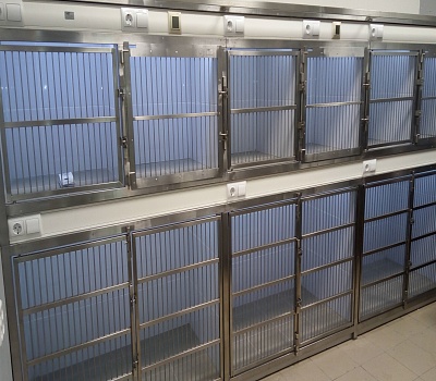 Фотогалерея 